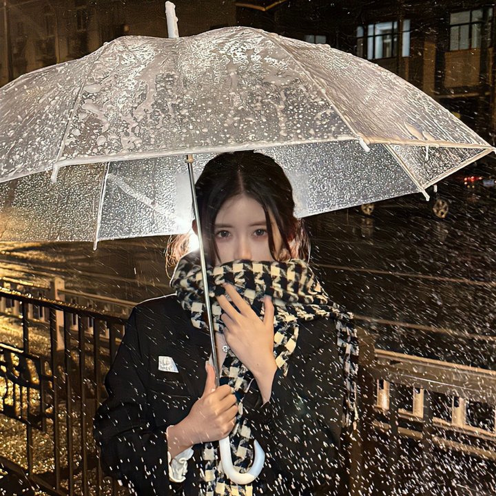 新边城浪子