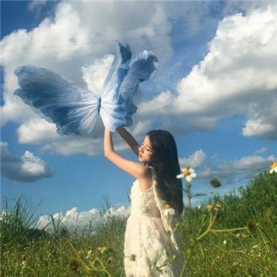 偷鸡摸狗